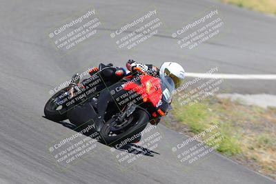 media/Jun-25-2023-2WTD (Sun) [[bf8bb0cd0b]]/A Group/session 4 turn 9/